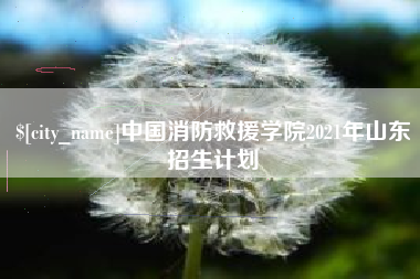 当阳中国消防救援学院2021年山东招生计划