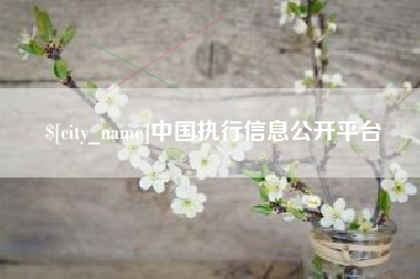 当阳中国执行信息公开平台