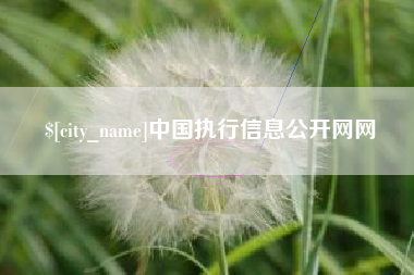 当阳中国执行信息公开网网
