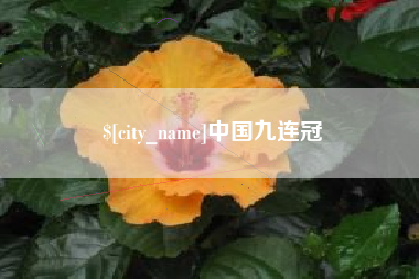 当阳中国九连冠