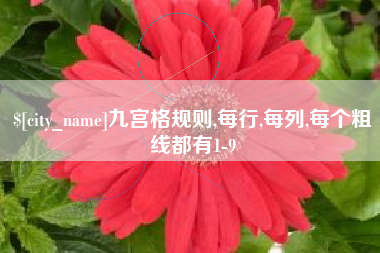 当阳九宫格规则,每行,每列,每个粗线都有1-9