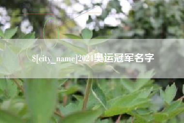 当阳2024奥运冠军名字