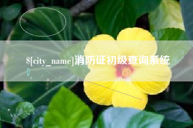 当阳消防证初级查询系统