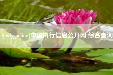 当阳中国执行信息公开网 综合查询