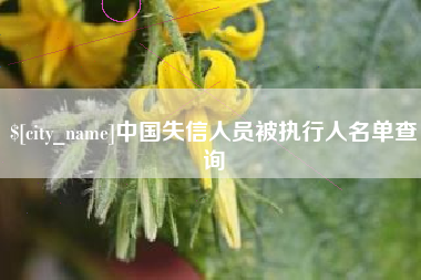 当阳中国失信人员被执行人名单查询