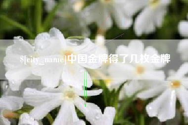 当阳中国金牌得了几枚金牌