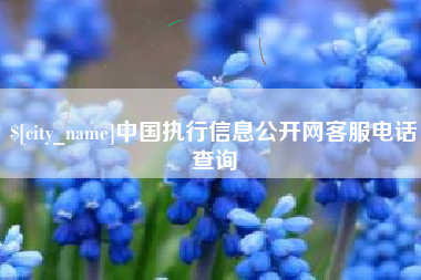 当阳中国执行信息公开网客服电话查询