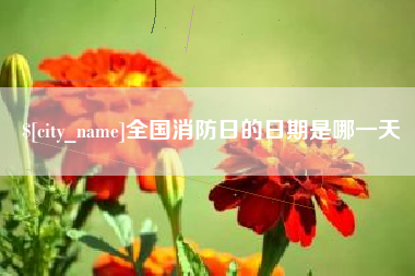 当阳全国消防日的日期是哪一天