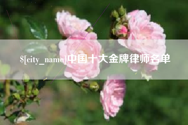 当阳中国十大金牌律师名单