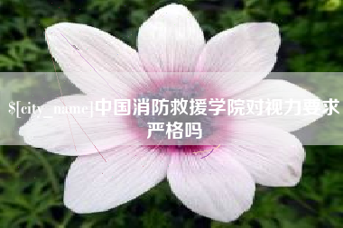 当阳中国消防救援学院对视力要求严格吗