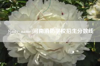 当阳河南消防学校招生分数线