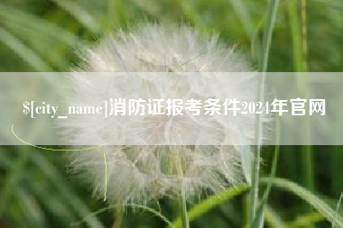 当阳消防证报考条件2024年官网