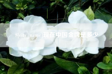 当阳现在中国金牌是多少