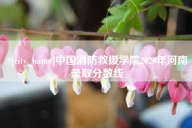 当阳中国消防救援学院2020年河南录取分数线