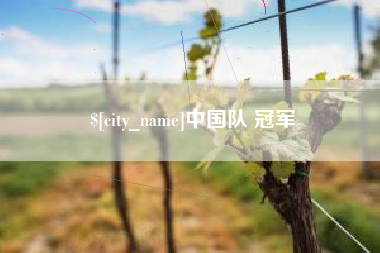 当阳中国队 冠军