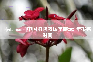 当阳中国消防救援学院2021年报名时间