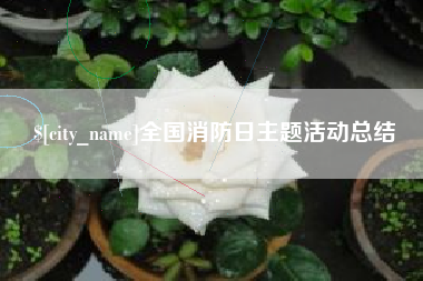 当阳全国消防日主题活动总结