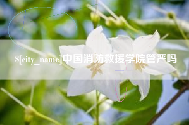 当阳中国消防救援学院管严吗