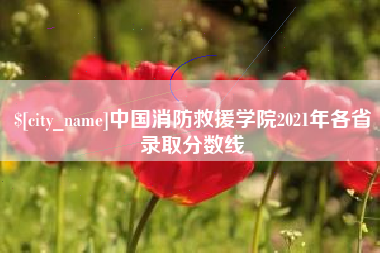 当阳中国消防救援学院2021年各省录取分数线