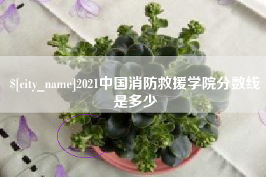 当阳2021中国消防救援学院分数线是多少