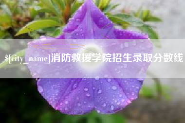 当阳消防救援学院招生录取分数线