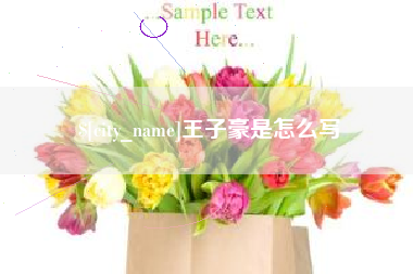 当阳王子豪是怎么写