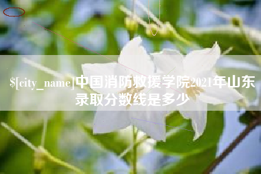 当阳中国消防救援学院2021年山东录取分数线是多少