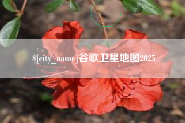 当阳谷歌卫星地图2025