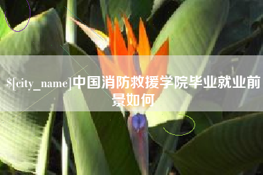 当阳中国消防救援学院毕业就业前景如何