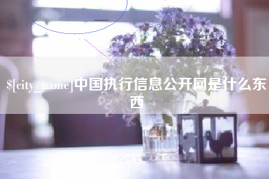 当阳中国执行信息公开网是什么东西