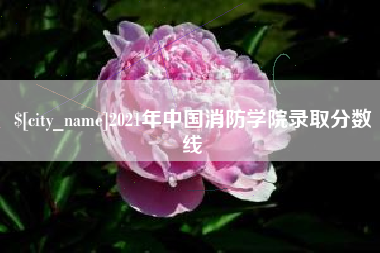 当阳2021年中国消防学院录取分数线