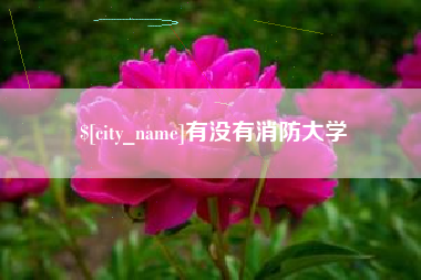 当阳有没有消防大学