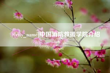 当阳中国消防救援学院介绍