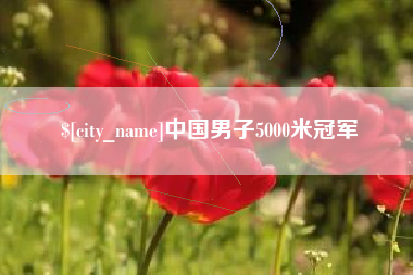 当阳中国男子5000米冠军