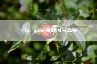 当阳金牌图片真实