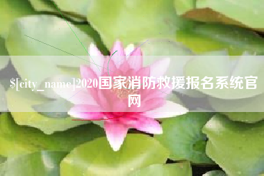 当阳2020国家消防救援报名系统官网