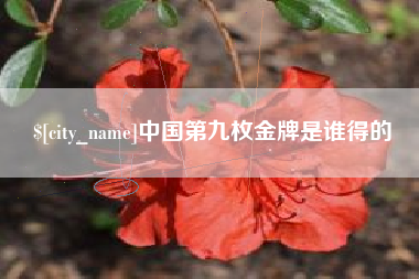 当阳中国第九枚金牌是谁得的