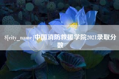 当阳中国消防救援学院2021录取分数