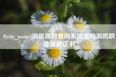 当阳消防官网查询系统查询消防职业资格证书