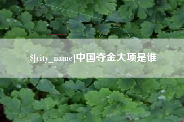 当阳中国夺金大项是谁