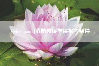 当阳消防救援学院报考条件