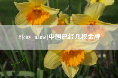 当阳中国已经几枚金牌