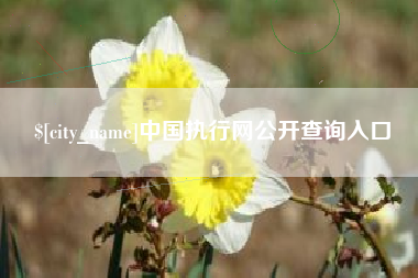 当阳中国执行网公开查询入口