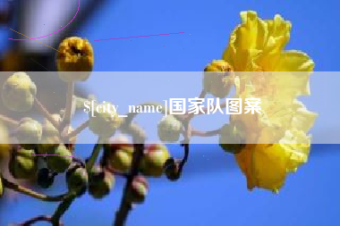 当阳国家队图案