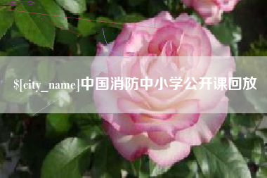 当阳中国消防中小学公开课回放