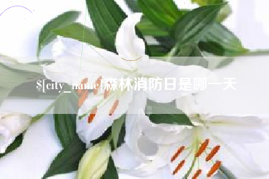 当阳森林消防日是哪一天