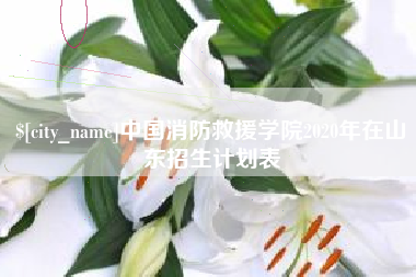 当阳中国消防救援学院2020年在山东招生计划表