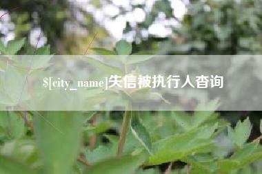 当阳失信被执行人杳询