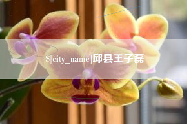 当阳邱县王子磊