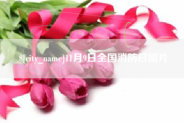 当阳11月9日全国消防日图片